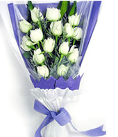 Carnival Love-China Flowers Delivery