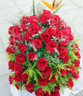 red roses and bird-of-paradise flower to China