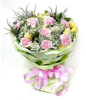 Warm wishes-Chinese online florist