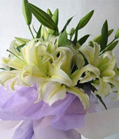 Deeply blessings-Chinese online florist