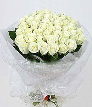 Pure Love 33 white roses to China