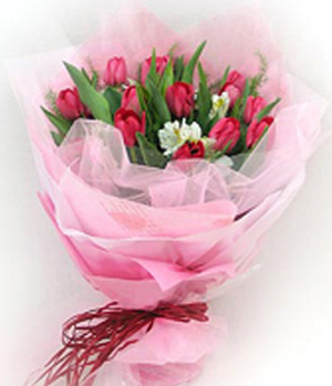 16 Pink Tulips