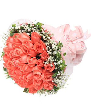 33 premium pink roses - China flower delivery