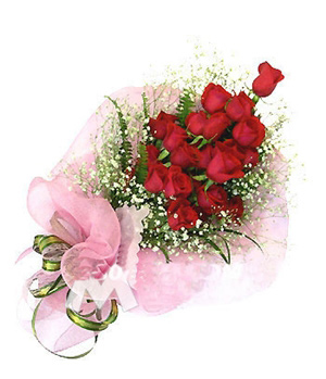 19 premium red roses