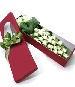  24 long stems white roses in a box