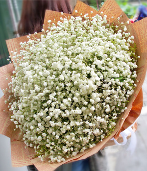 Baby's Breath Bouquet - Flowers delivery China