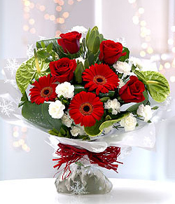 China Chirstmas Flowers Delivery