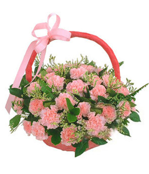 China Flowers - 36 pink carnations basket