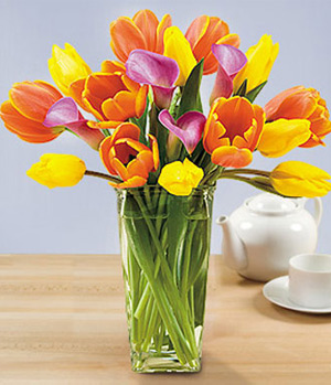 Tulip in a vase delivered