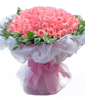 Premium pink roses 99