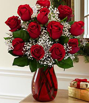 One Dozen Red Roses