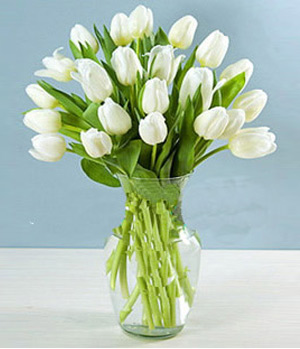 19 white tulips in a vase