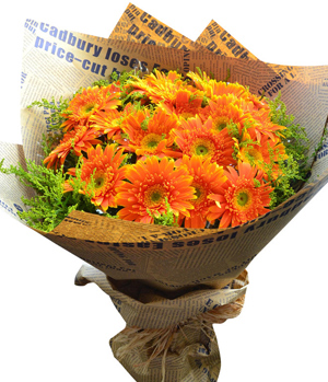 19 Gerbera Hand Bouquet