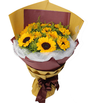 Sundflower Delivery in China