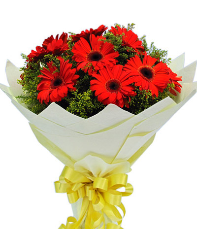 Gerbera Flower Delivery China