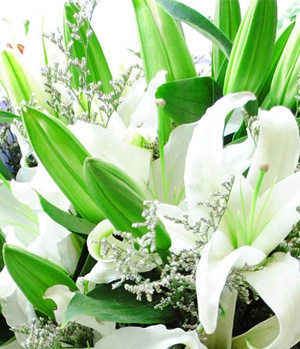 6 White Lilies