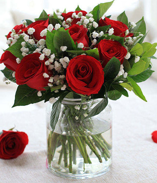 11 red roses with babysbreath.