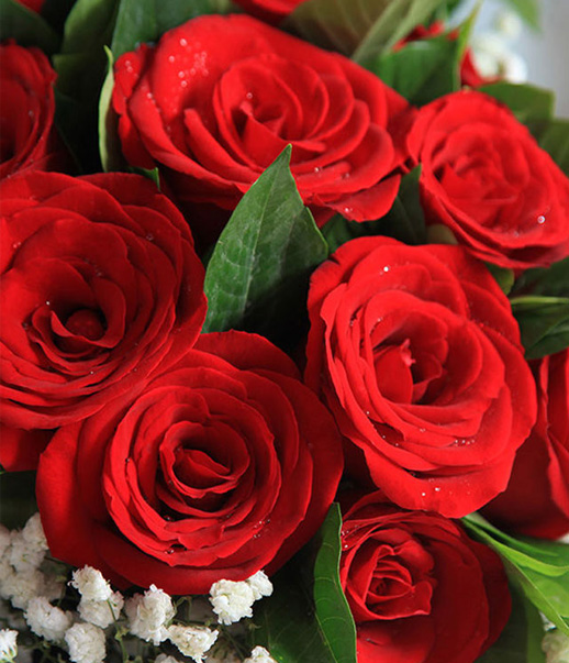 11 red roses with babysbreath.